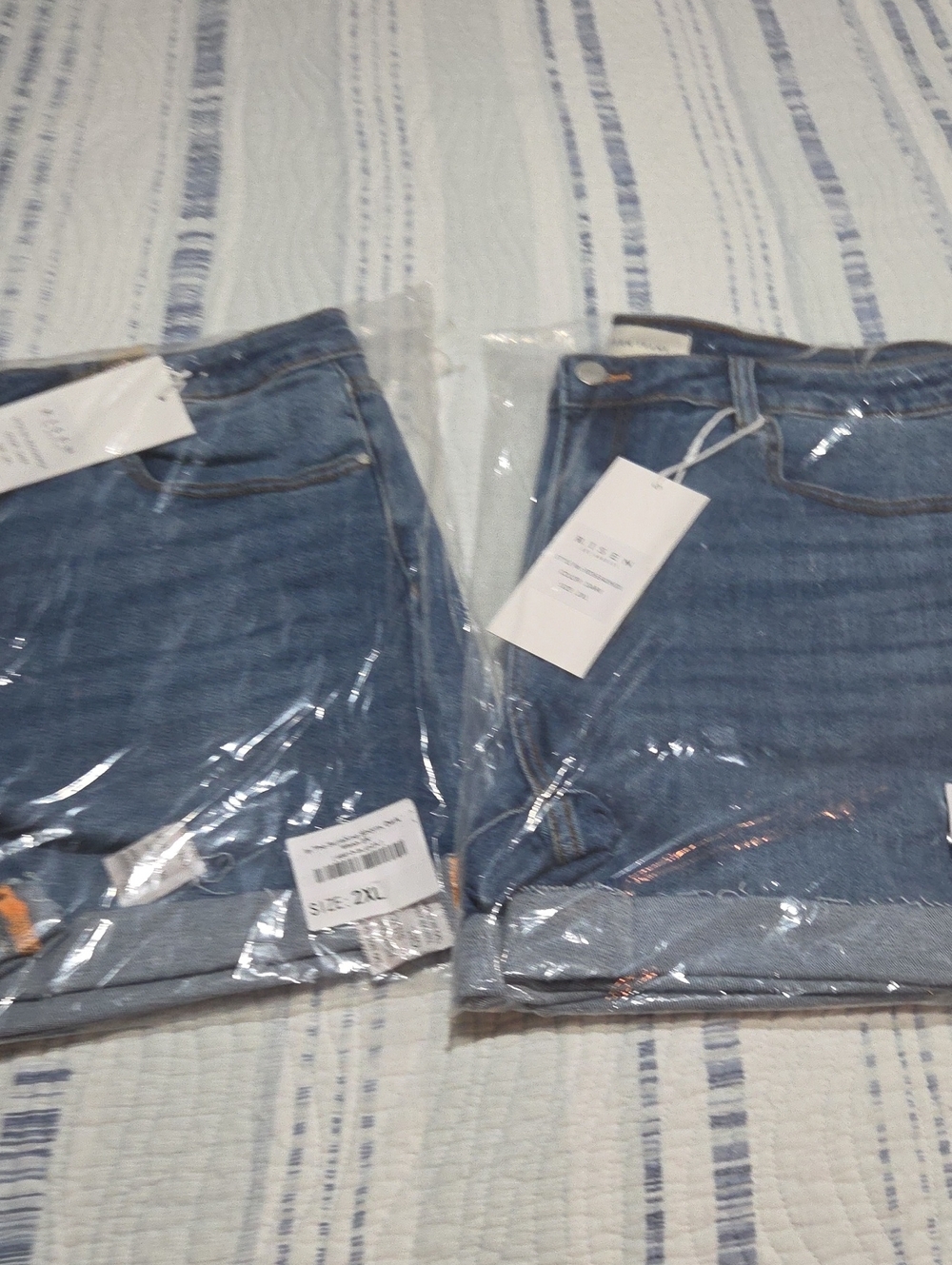 Denim Shorts in Blue - 2X